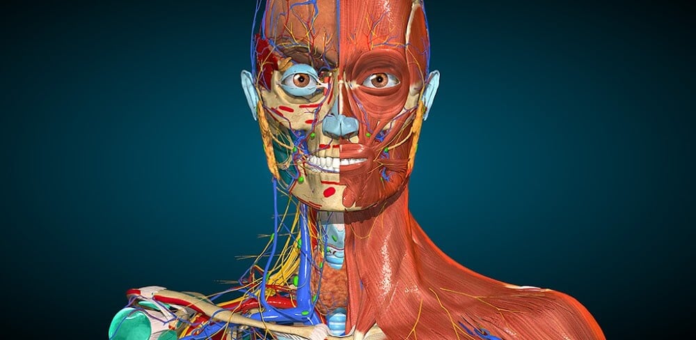 Anatomy Learning - 3D Anatomy v3.1.500 MOD APK (Full version Unlocked)