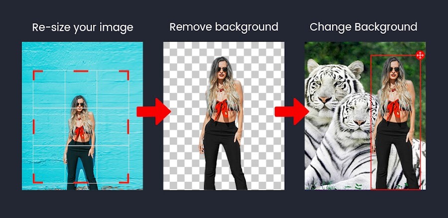 Background Changer v6.5.2 MOD APK (Premium Unlocked)