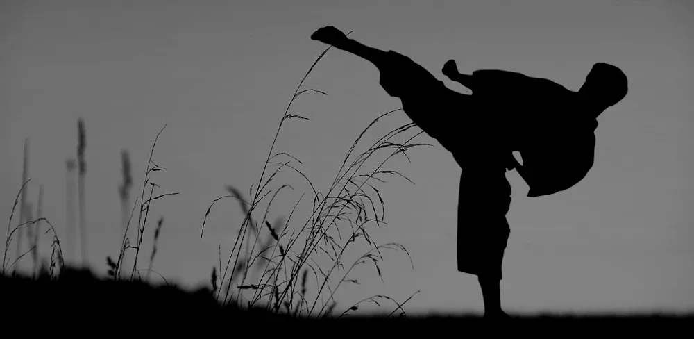 Flexibility for Fighters v2.22.google MOD APK (Premium Unlocked)