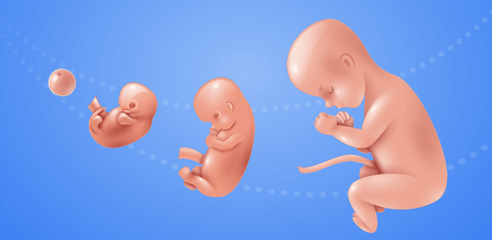 Idle 9 Months v1.41.7 MOD APK (Unlimited Cell, Nutrition)