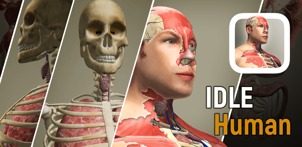 Idle Human v1.23.1 MOD APK (Unlimited Diamonds)