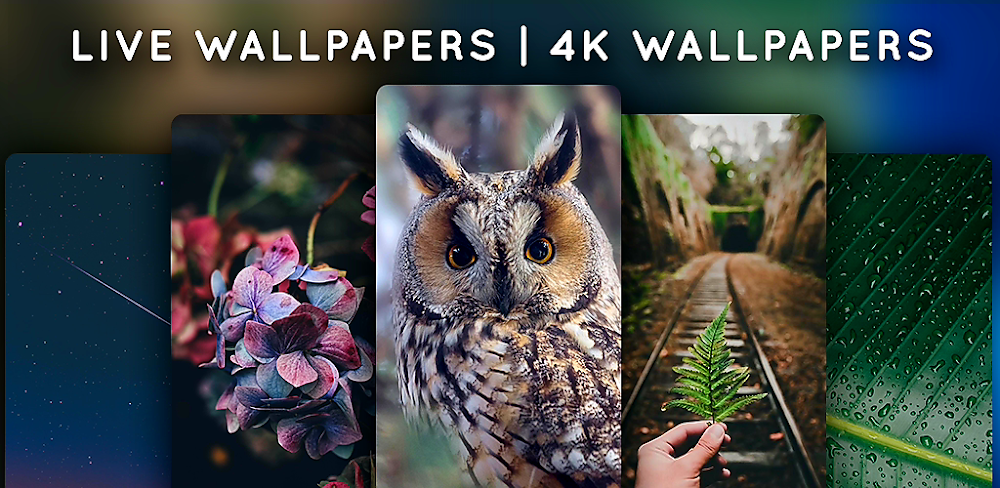 Live Wallpapers v5.6.1 MOD APK (Premium Unlocked)