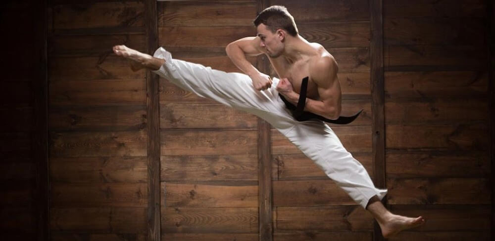 Mastering Taekwondo at Home v1.5.6 MOD APK (Premium Unlocked)