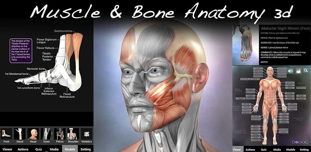 Muscle and Bone Anatomy 3D v1.2.2 APK + OBB (Full Paid)