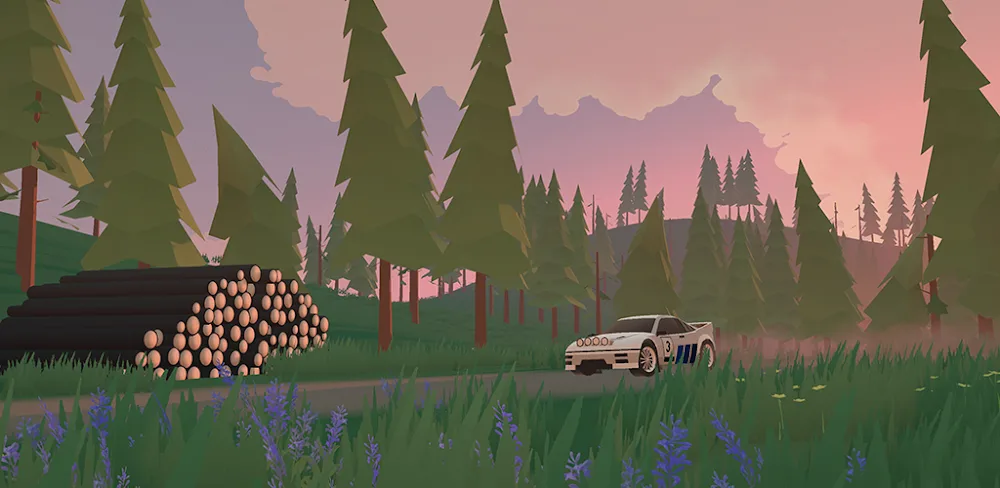 N3Rally v3.1.2 MOD APK (Free Purchases)
