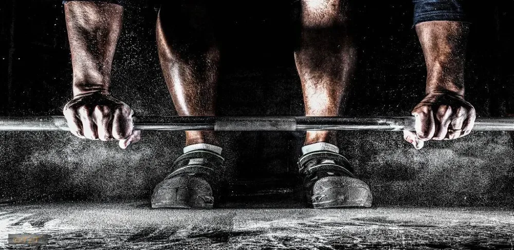 Personal Training Coach v11.4 MOD APK (Premium Unlocked)