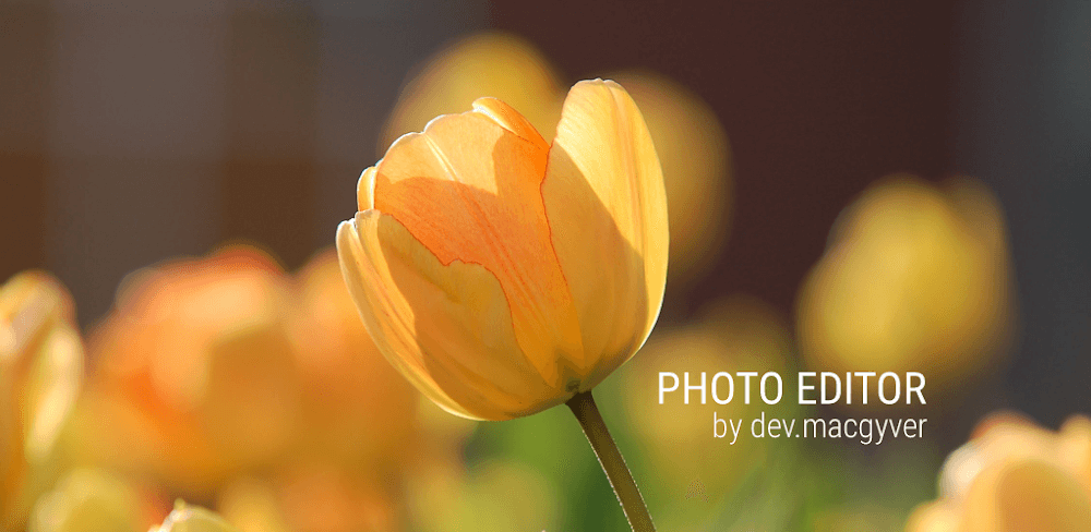 Photo Editor v12.6 MOD APK (Pro Unlocked)