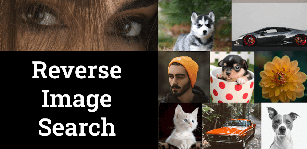 Photo Sherlock v1.125 MOD APK (Pro Unlocked)
