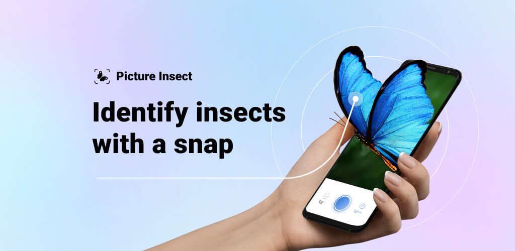 Picture Insect v2.8.33 MOD APK (Premium Unlocked)