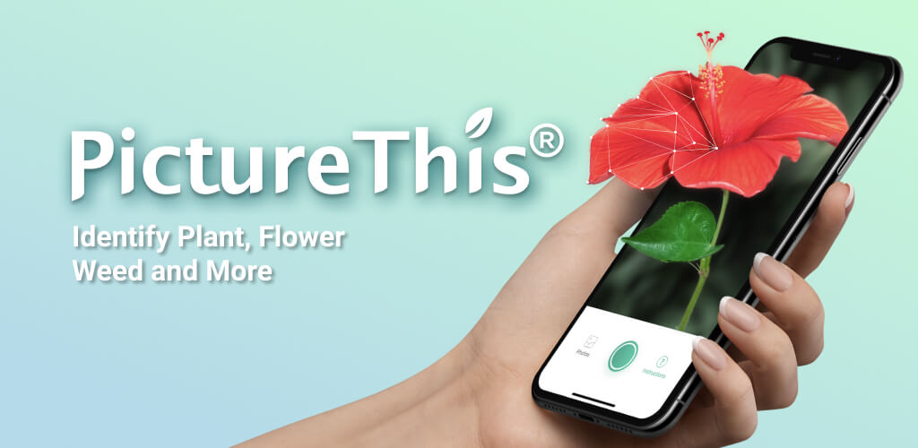 PictureThis v5.20.0 MOD APK (Premium Unlocked)