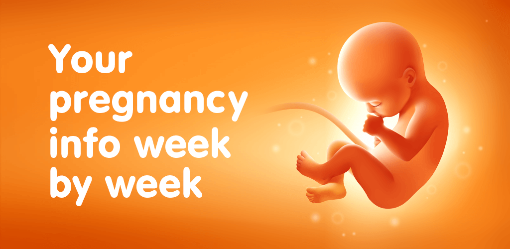 Pregnancy Tracker v3.150.2 APK + MOD (Gold Unlocked)