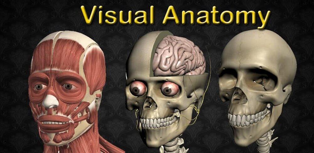 Visual Anatomy 2 v4.0 b44 APK (Patched)