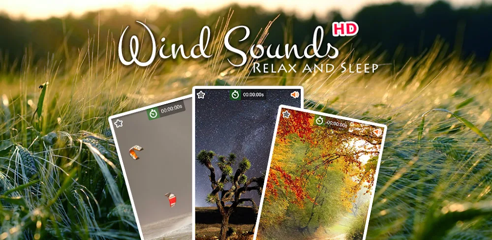 Wind Noise: Relax and Sleep v12.0 MOD APK (Premium Unlocked)