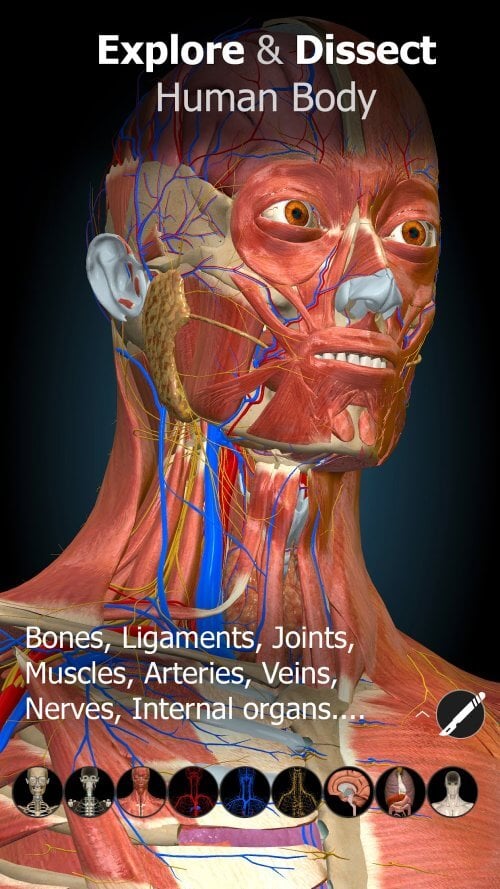 Anatomy Learning - 3D Anatomy v3.1.500 MOD APK (Full version Unlocked)