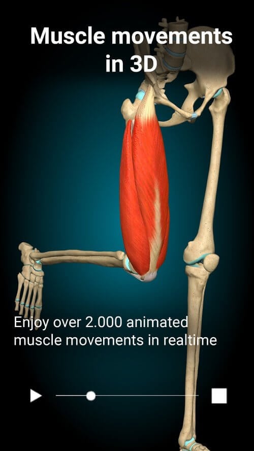 Anatomy Learning - 3D Anatomy v3.1.500 MOD APK (Full version Unlocked)