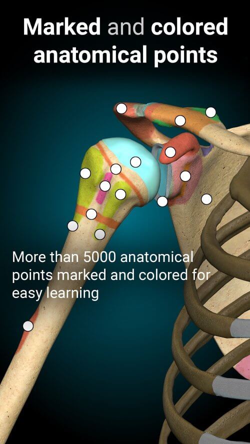 Anatomy Learning - 3D Anatomy v3.1.500 MOD APK (Full version Unlocked)