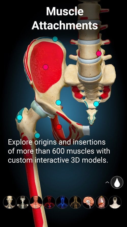 Anatomy Learning - 3D Anatomy v3.1.500 MOD APK (Full version Unlocked)