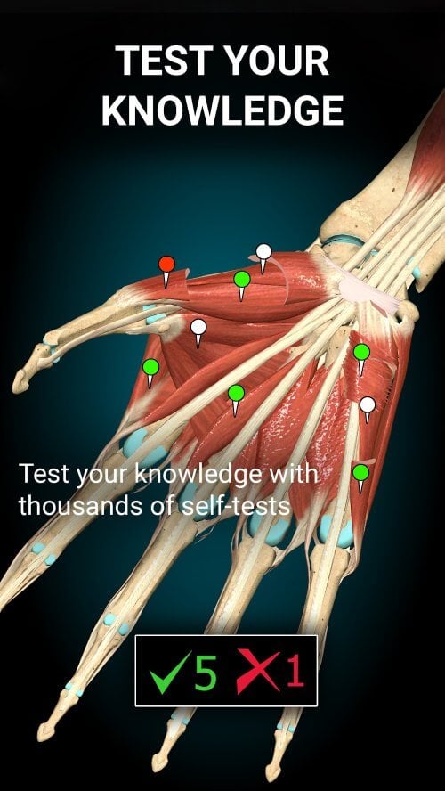Anatomy Learning - 3D Anatomy v3.1.500 MOD APK (Full version Unlocked)