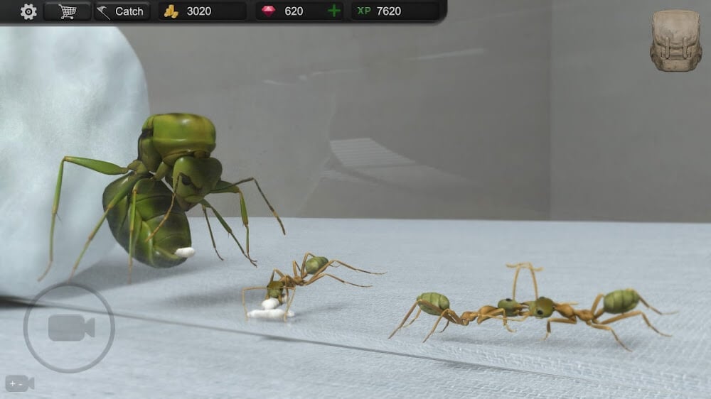 Ant Sim Tycoon v2.9.9626 MOD APK (Unlimited Money)