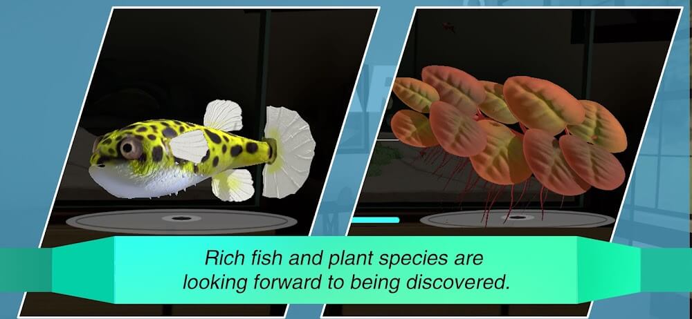 Aquarium Designer v1.0.0 MOD APK (Unlimited Money)