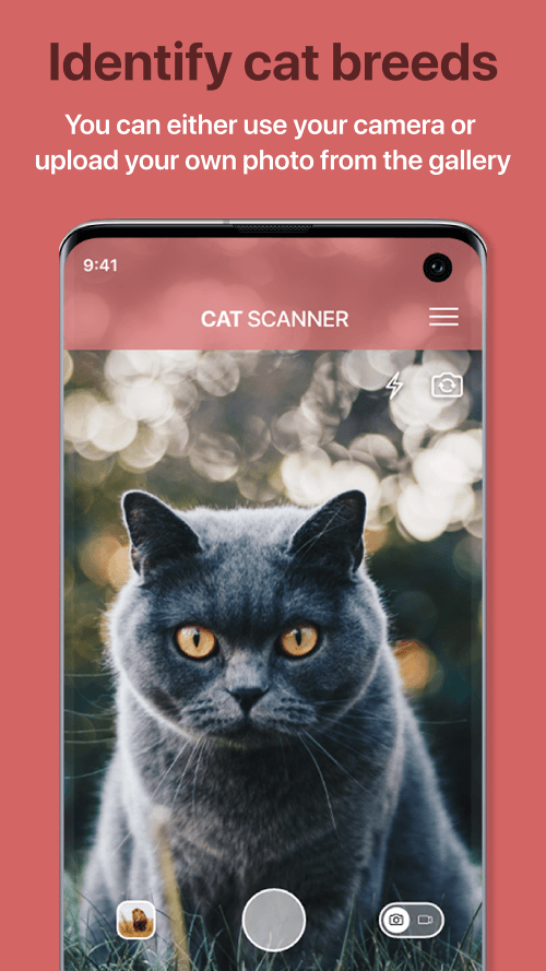 Cat Scanner v22.4.1-G MOD APK (Premium Unlocked)