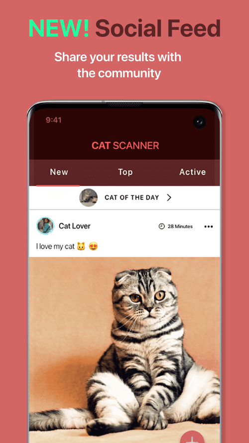 Cat Scanner v22.4.1-G MOD APK (Premium Unlocked)