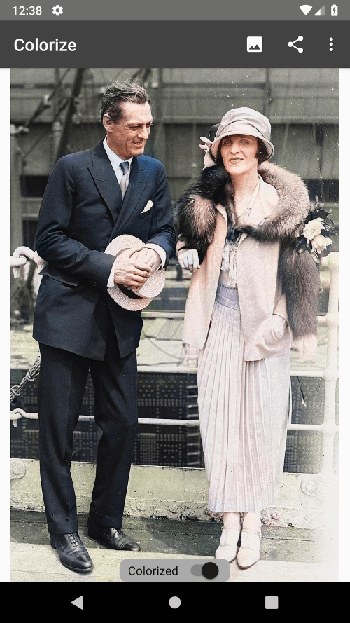 Colorize Images v4.1.25 MOD APK (Premium Unlocked)