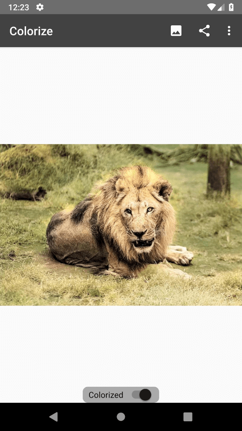 Colorize Images v4.1.25 MOD APK (Premium Unlocked)
