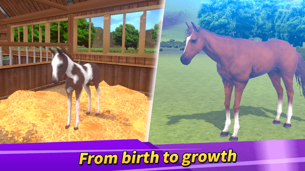 Derby Life v1.9.29 MOD APK (Unlimited Money)
