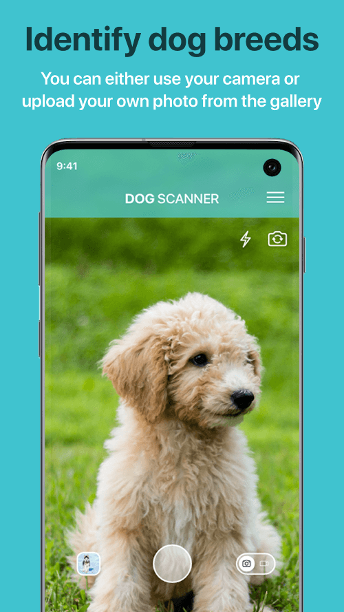 Dog Scanner v22.4.1-G MOD APK (Premium Unlocked)