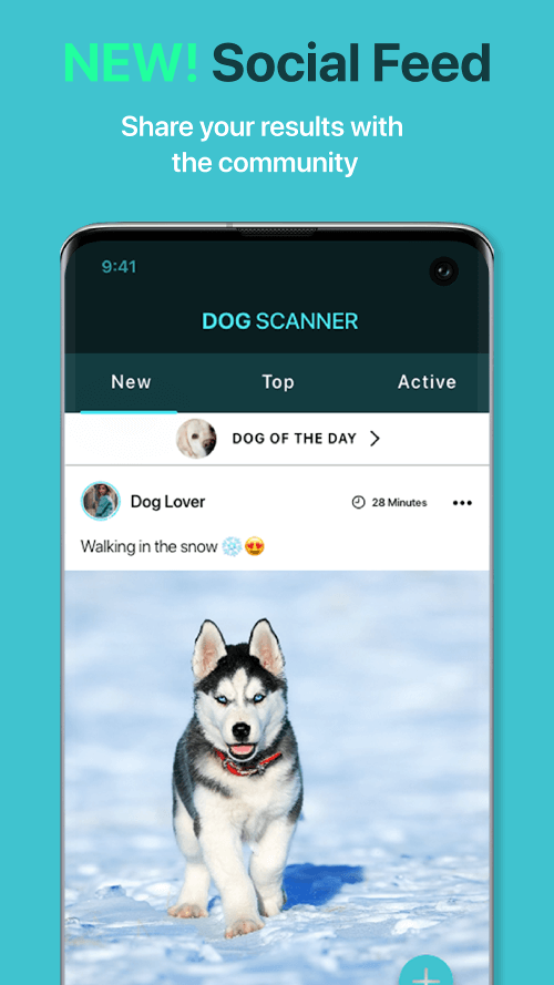 Dog Scanner v22.4.1-G MOD APK (Premium Unlocked)