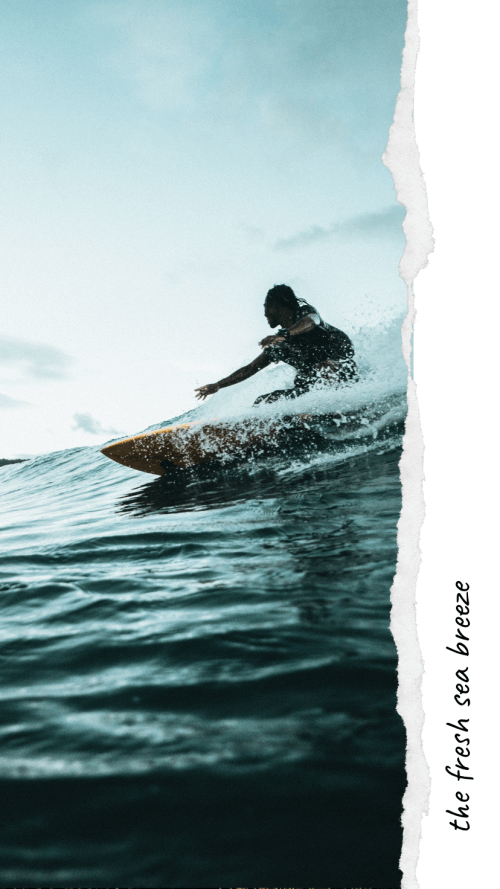 Made v1.2.19 MOD APK (Premium Unlocked)