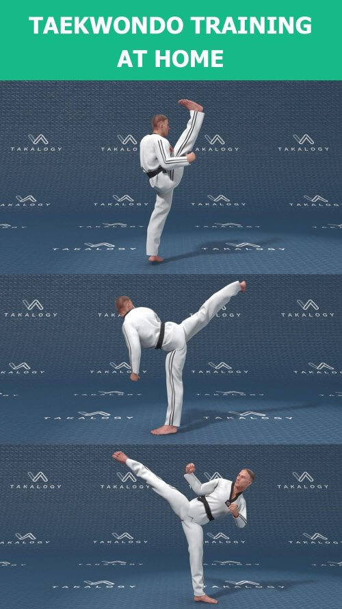 Mastering Taekwondo at Home v1.5.6 MOD APK (Premium Unlocked)