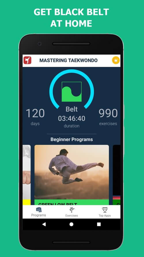 Mastering Taekwondo at Home v1.5.6 MOD APK (Premium Unlocked)