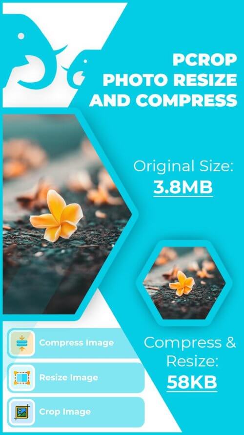 pCrop v1.7 MOD APK (Premium Unlocked)