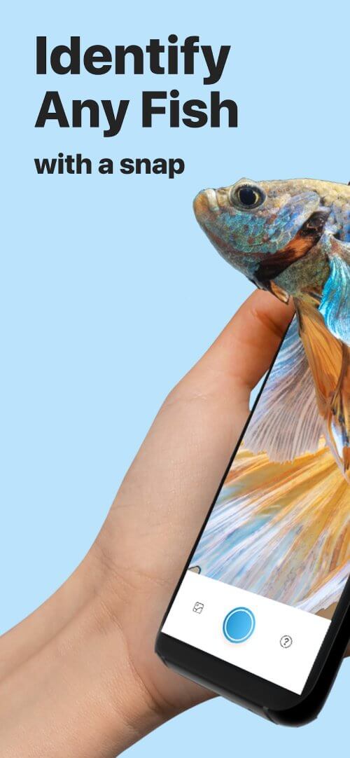 Picture Fish - Fish Identifier v2.4.23 MOD APK (Premium Unlocked)