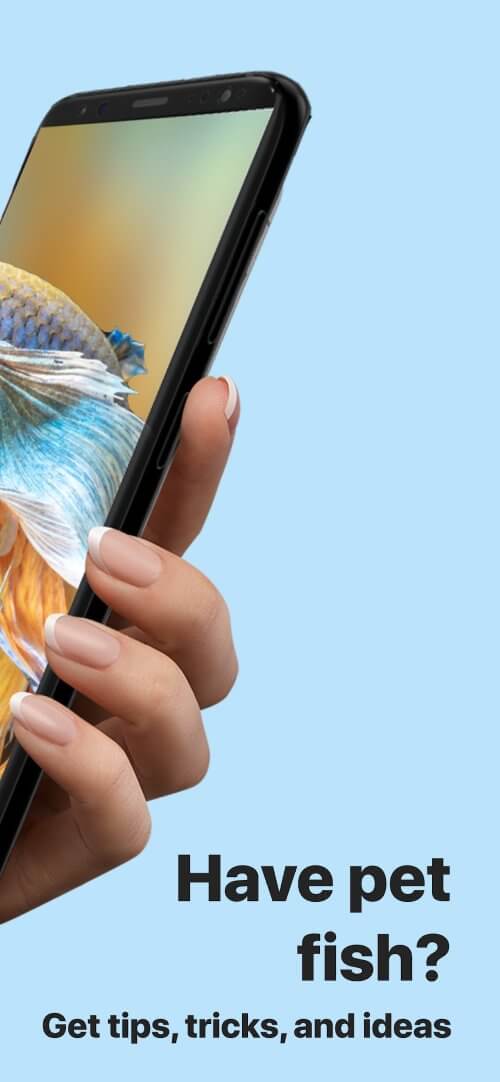 Picture Fish - Fish Identifier v2.4.23 MOD APK (Premium Unlocked)