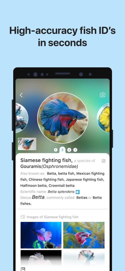 Picture Fish - Fish Identifier v2.4.23 MOD APK (Premium Unlocked)