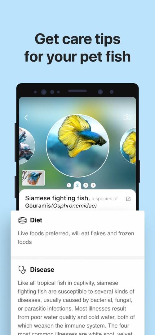 Picture Fish - Fish Identifier v2.4.23 MOD APK (Premium Unlocked)