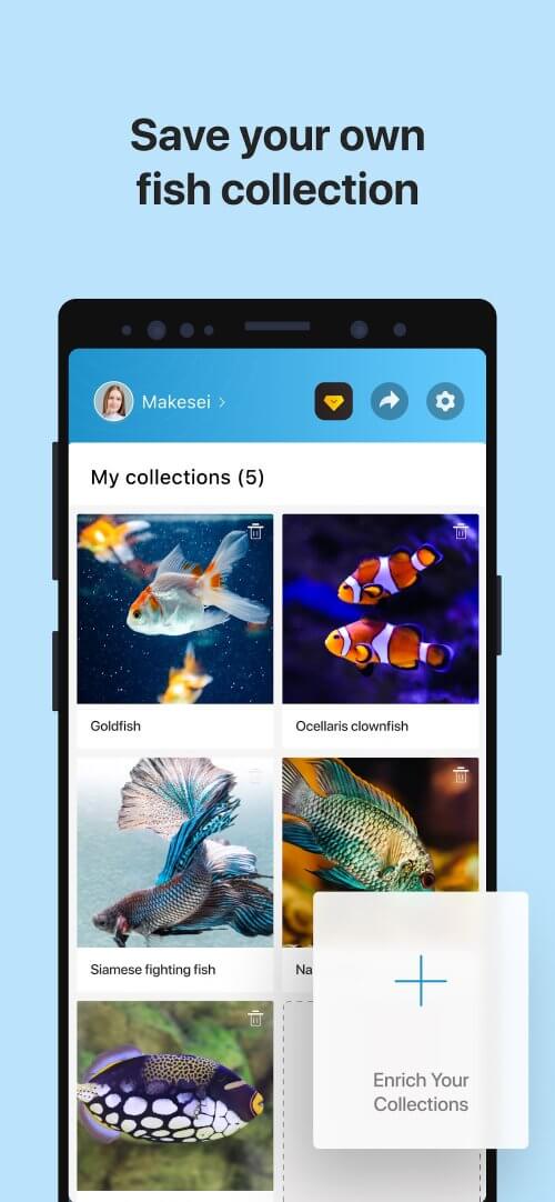 Picture Fish - Fish Identifier v2.4.23 MOD APK (Premium Unlocked)