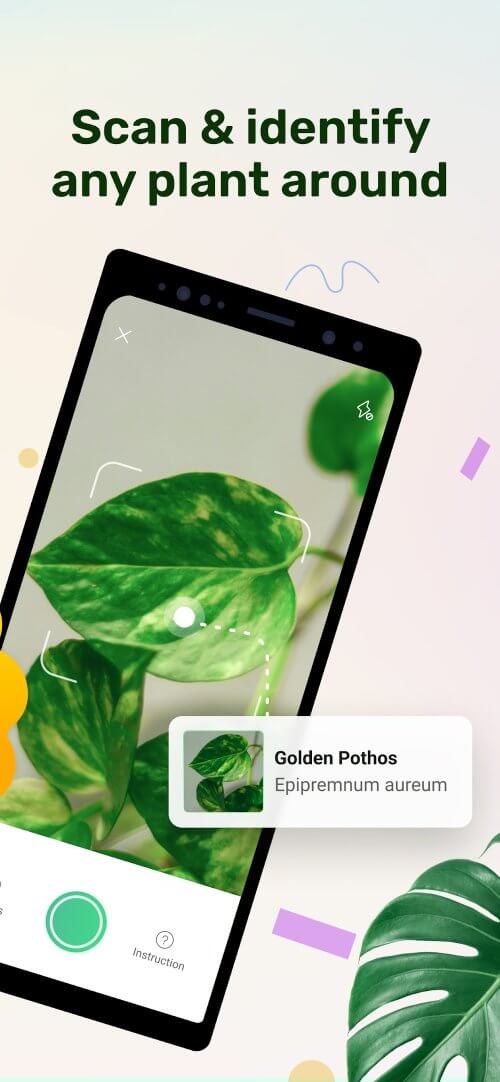 Plant Parent v1.104 MOD APK (Premium Unlocked)
