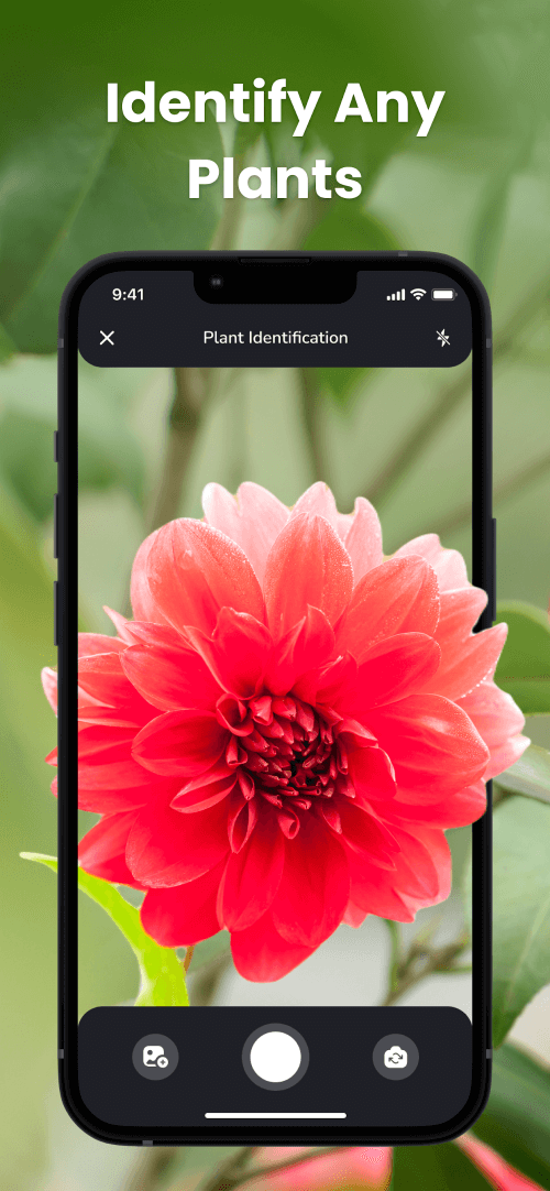 PlantIn: Plant Identification v2.52.0 MOD APK (Premium Unlocked)