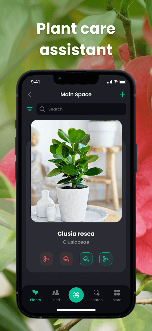 PlantIn: Plant Identification v2.52.0 MOD APK (Premium Unlocked)
