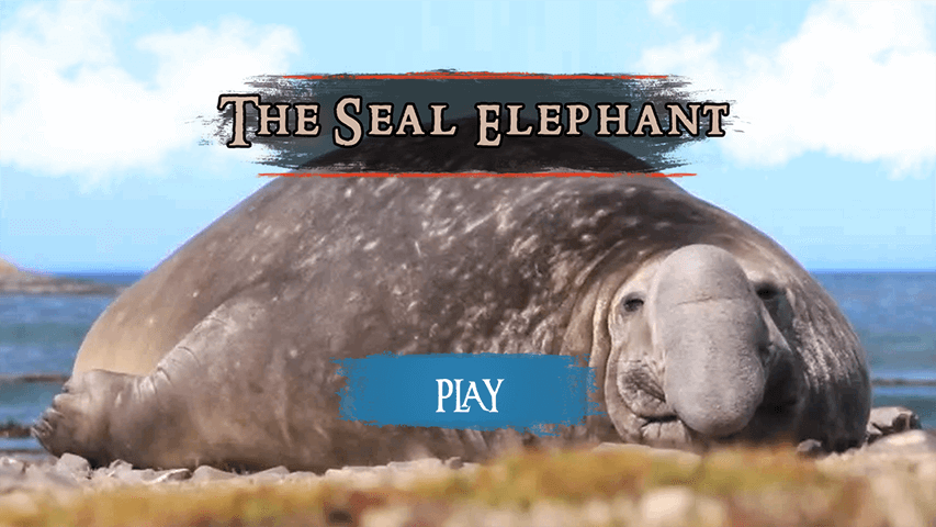 The Seal Elephant v1.2.4 MOD APK (Unlimited Money)