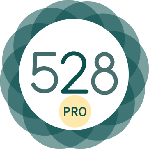 528 Player Pro v41.51 APK (Paid)