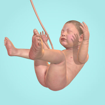 9 Months v1.35.2 MOD APK (Unlimited Cell, Nutrition)