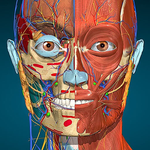 Anatomy Learning - 3D Anatomy v3.1.500 MOD APK (Full version Unlocked)