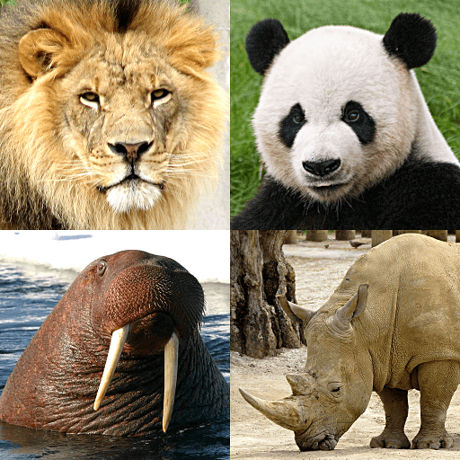 Animals Quiz Learn All Mammals v3.6.0 MOD APK (Unlimited Money)