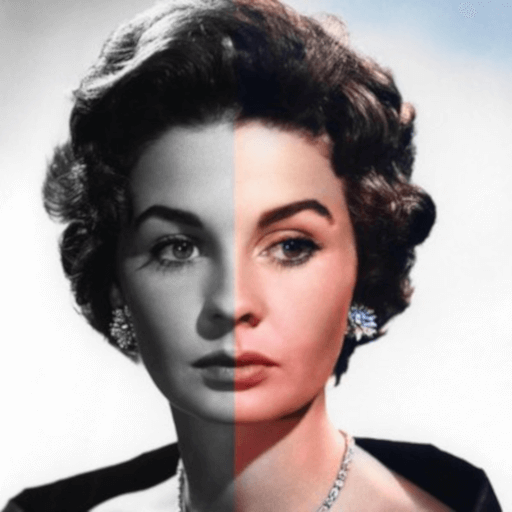 Colorize Images v4.1.25 MOD APK (Premium Unlocked)