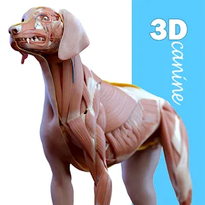 Complete Canine 3D - anatomy v1.73 APK (Premium Unlocked)
